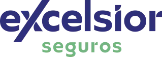 logo-80-anos-excelsior-seguros